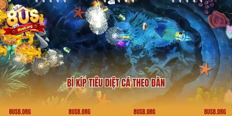 Bí kíp tiêu diệt cá theo đàn